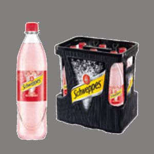 Schweppes Russian Wild Berry